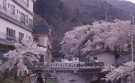 河鹿荘 全景